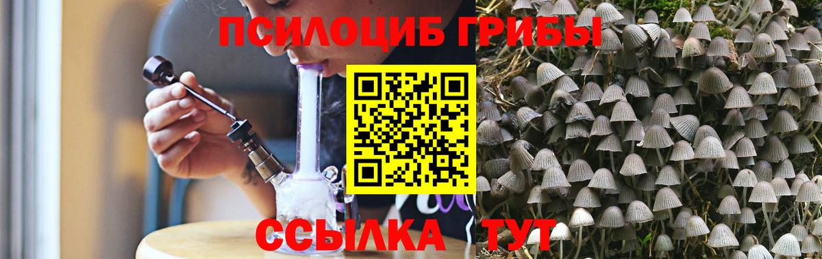 Галлюциногенные грибы GOLDEN TEACHER Благовещенск