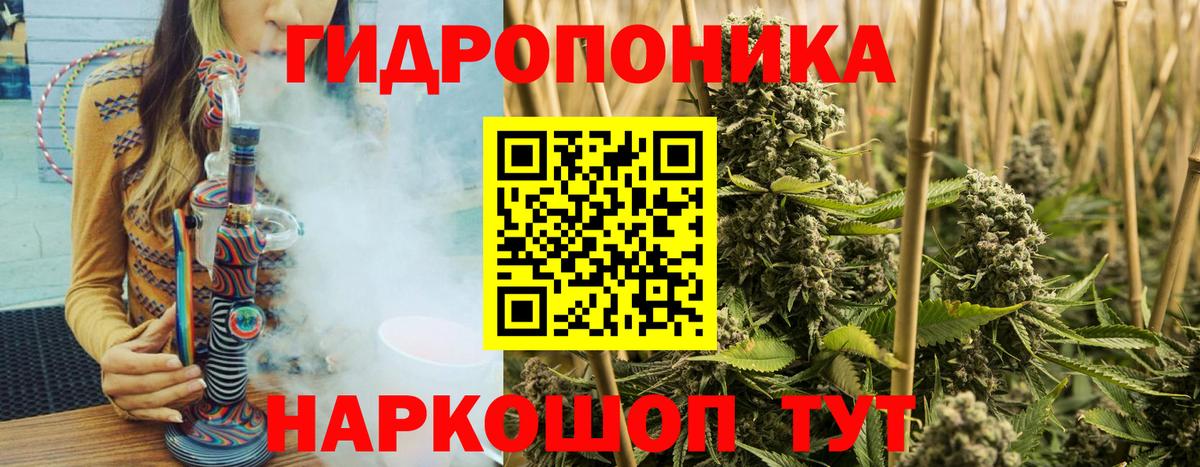 Бошки марихуана THC 21% Благовещенск